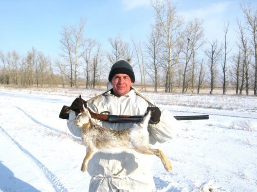 Первый зайчишка троплением.