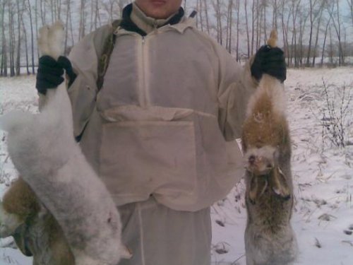 зайчики