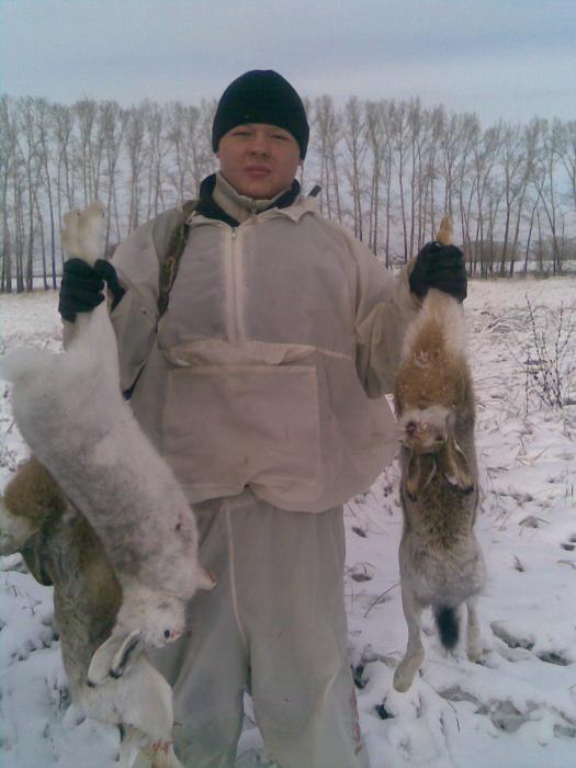 зайчики