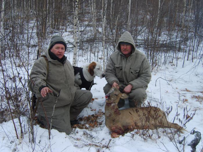 -38 градусов