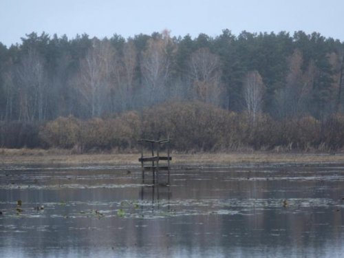 Скрадок?
