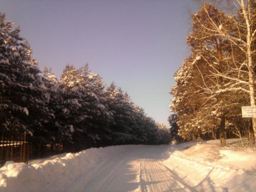 за зайцем
