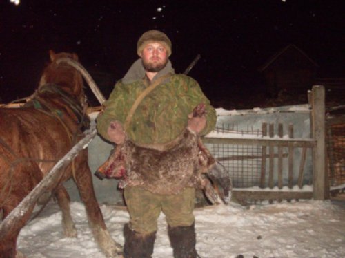 бобр зимой