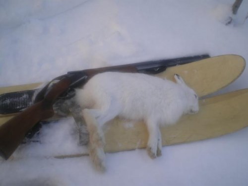Он же...
