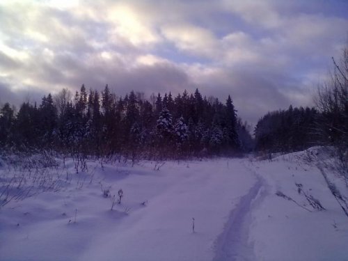 после загона - зверь ушел а красота осталась......