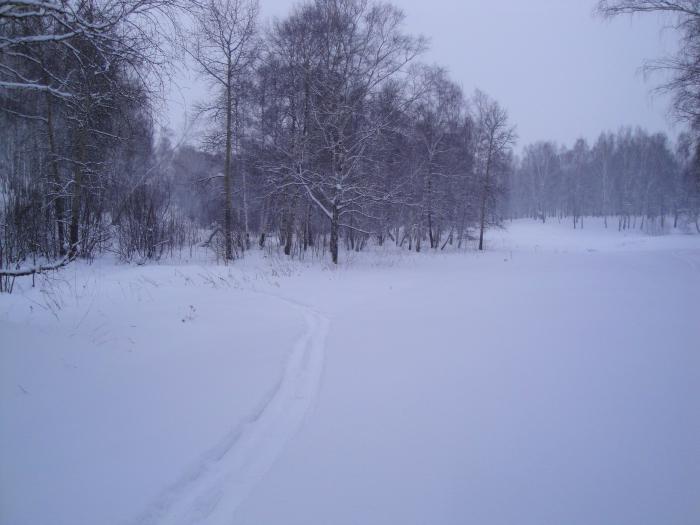 Единственный след в лесу