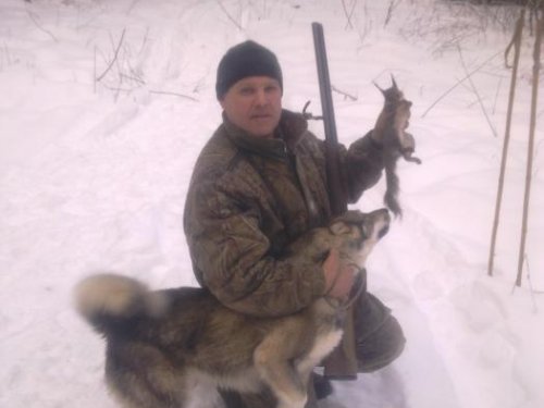 собачья радость