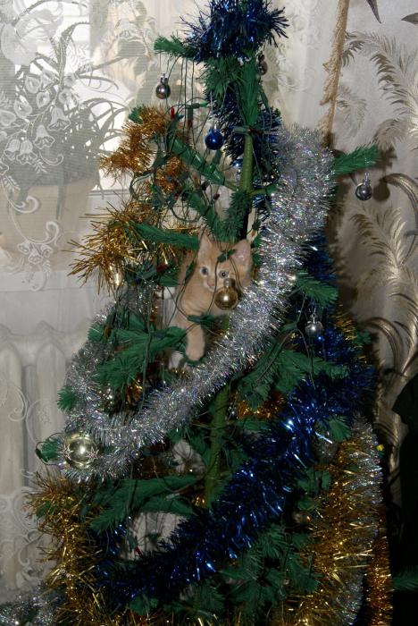 Соболь.