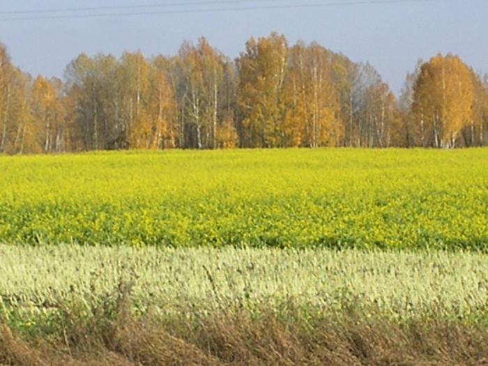 Родные угодья.