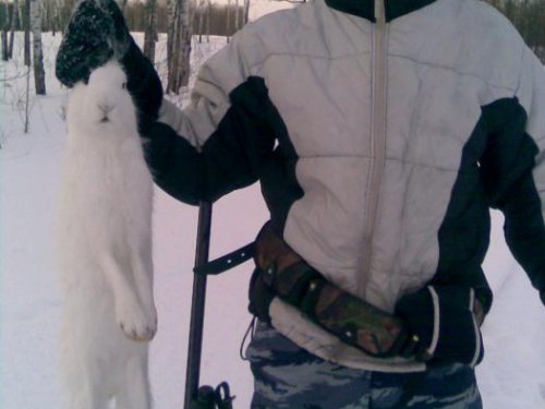 Первый в этом году.
