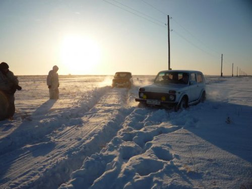 Сегодня Нивкам пришлось "попотеть"!