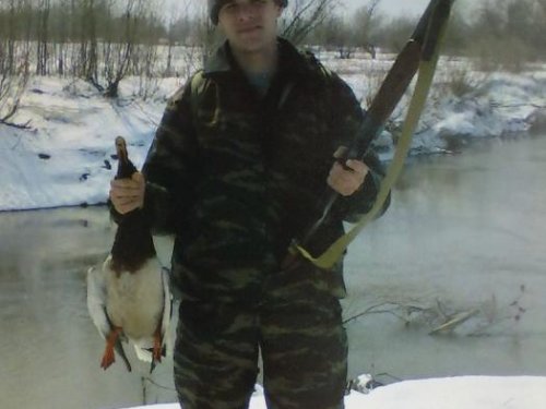 селезень