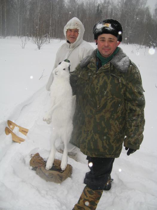 после загона