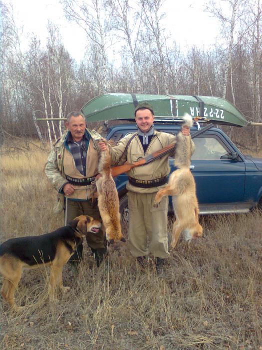 две осенних лисички !!!