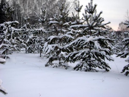 Закрытие 2010 года!!!