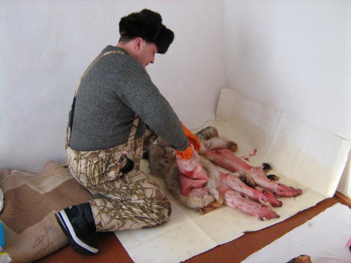 *  Лыжи , собачка, напарник , "легкий"  морозец    -40 *