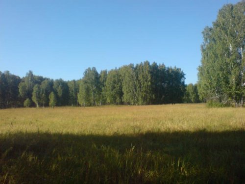 Просто красиво