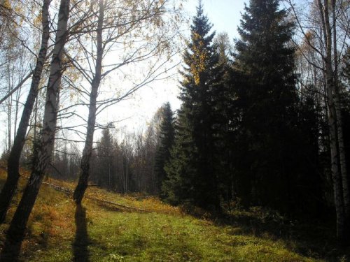 Родные просторы.