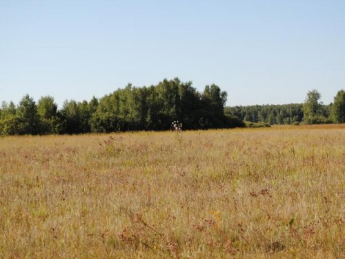 жара