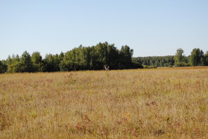 жара