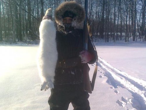 беляк