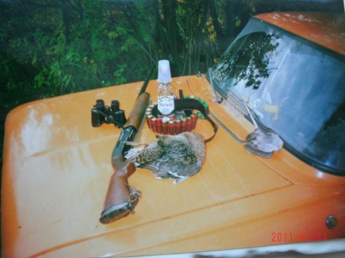 тотже2006г