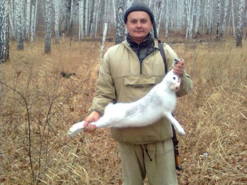 осенний зайчик