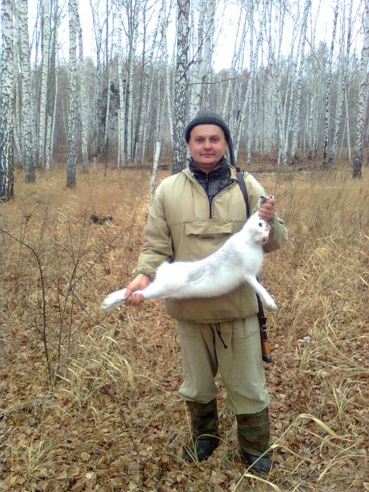осенний зайчик