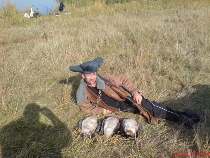 Жили у бабуси три веселых гуся - но не долго
