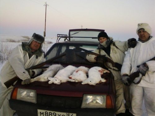 удачный зимний день 