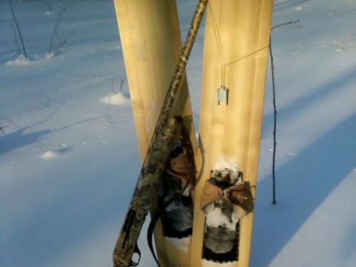 первый трофей 2011 года