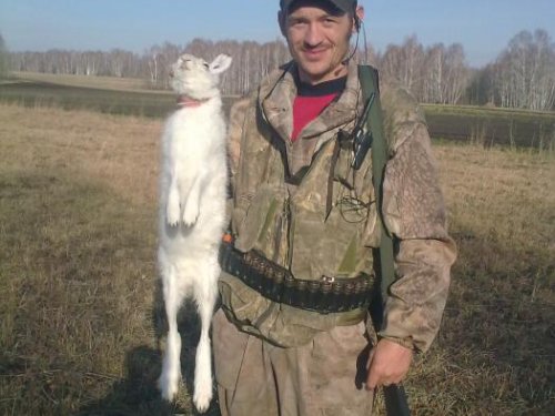 И всетаки мы его взяли