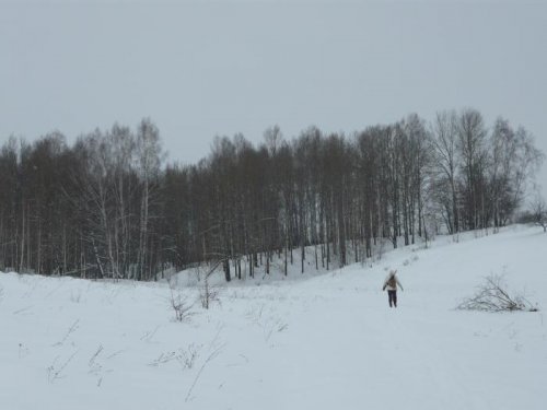 30 января,пришли на место охоты