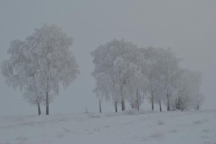 пейзаш зимы.