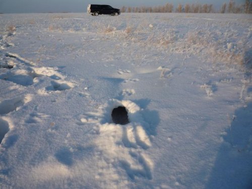 Опоздали!