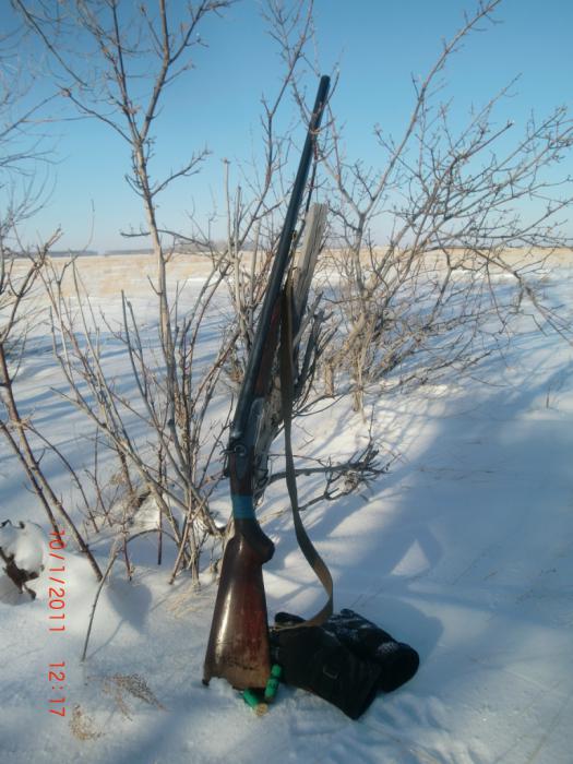 ТОЗ-БМ-16