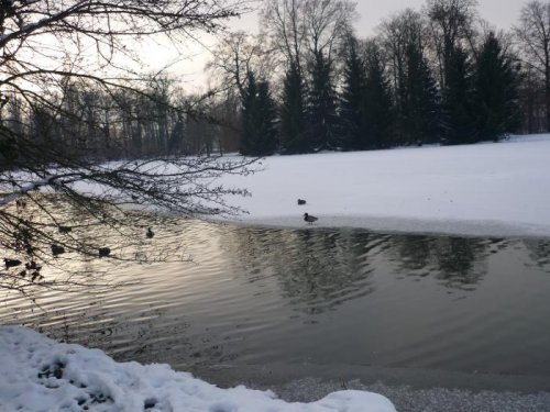 Где ещё не замёрзло..