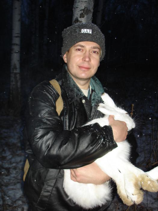 Зайчик