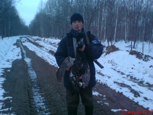 глухарь 