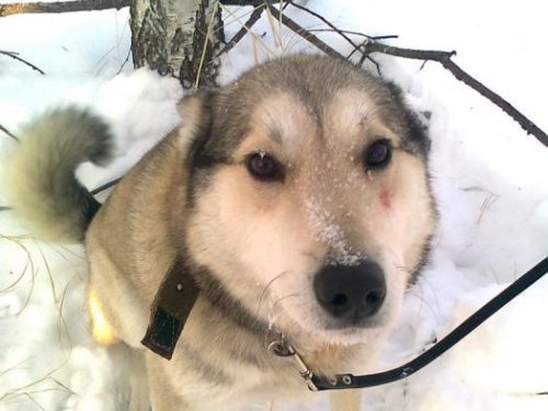 Взгляд в фото обьектив!!!!