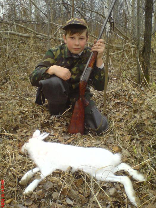 Первый заяц сына.