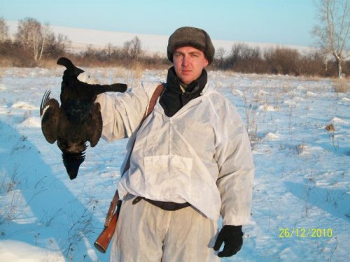 тетерев