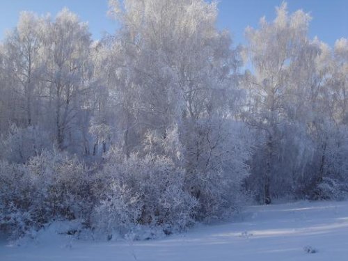 Серебрянная Сибирь