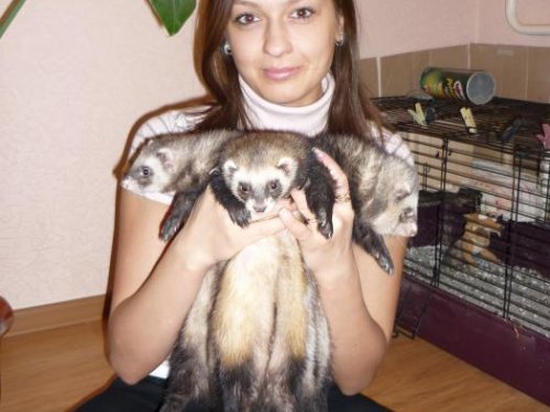 мои детки))))))))