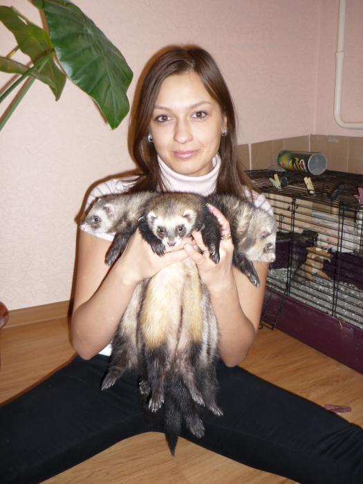 мои детки))))))))