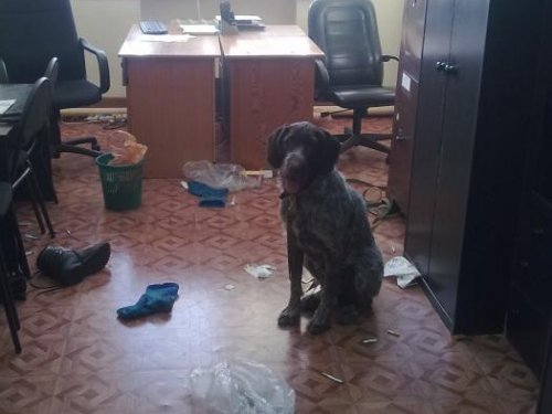 навел порядок за полчаса)))