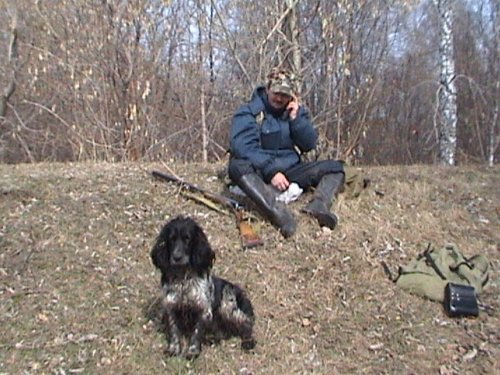Утки  пролетели,