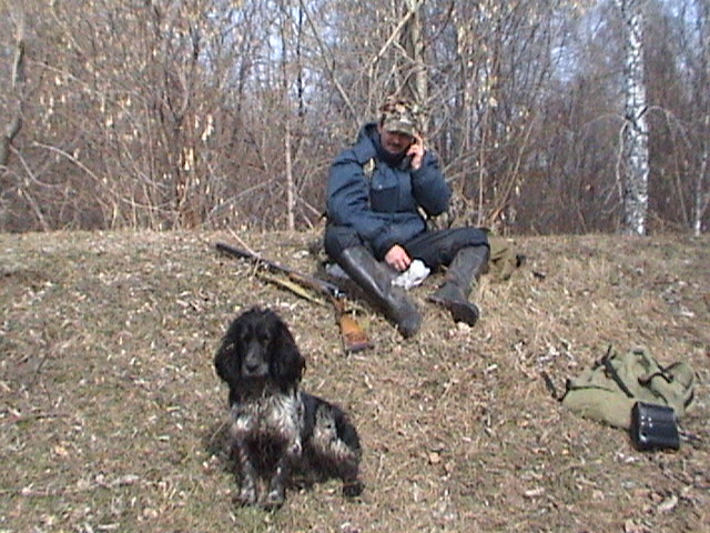 Утки  пролетели,