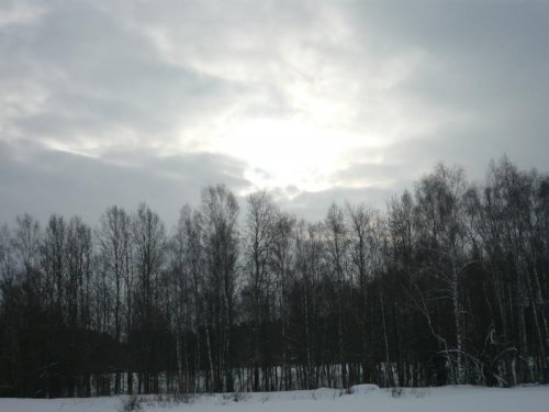 30 января,зайца так и не взяли