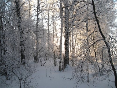 Утро морозное.